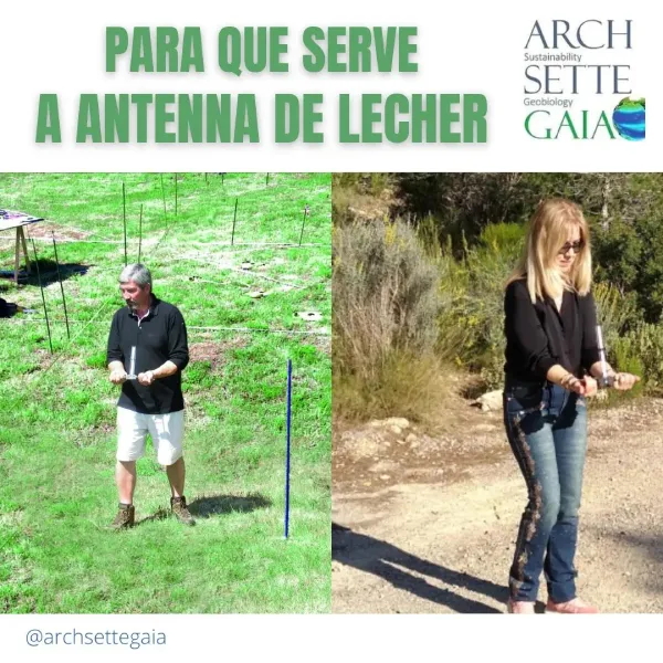 para-que-serve-antenna-de-lecher[1]